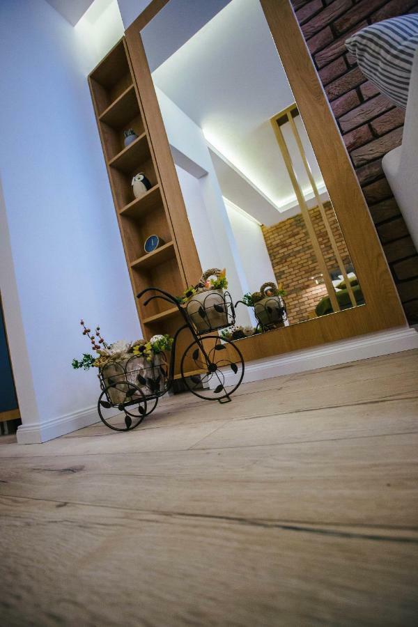 Briana Luxury Studio Cluj Napoca Bagian luar foto